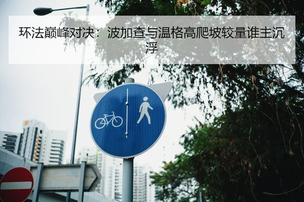 环法巅峰对决：波加查与温格高爬坡较量谁主沉浮
