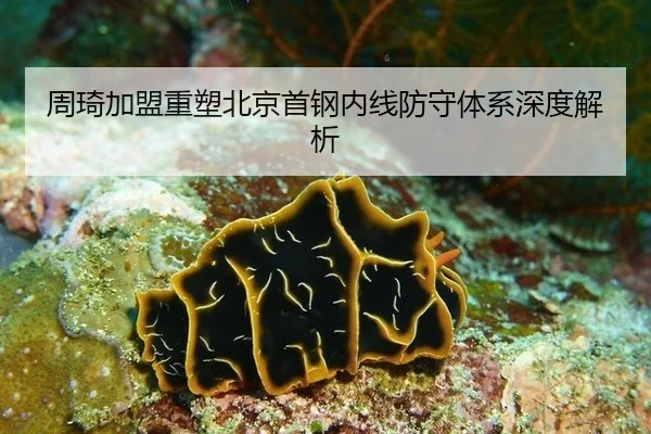 zhou-qi-jia-meng-zhong-su-bei-jing-shou-gang-nei-xian-fang-shou-ti-xi-shen-du-jie-xi-2-774.jpg