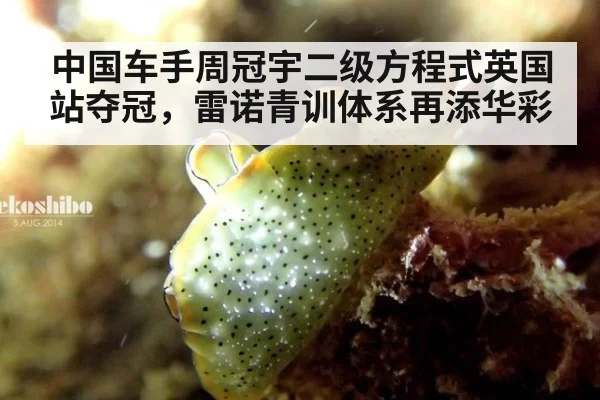 中国车手周冠宇二级方程式英国站夺冠,雷诺青训体系再添华彩