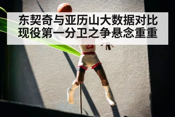 东契奇与亚历山大数据对比现役第一分卫之争悬念重重