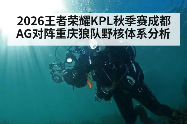 2026王者荣耀KPL秋季赛成都AG对阵重庆狼队野核体系分析